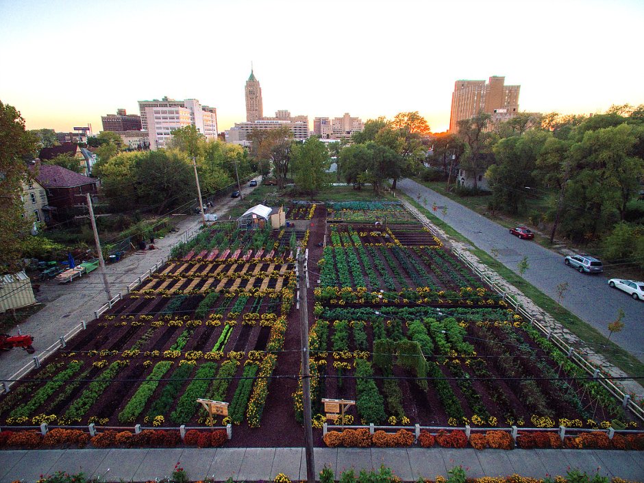 Rooftop Farm , Нью-Йорк