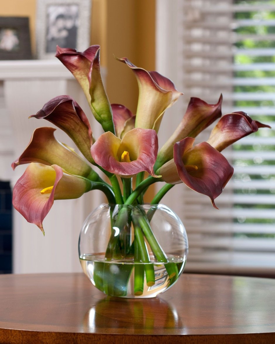 Композиция с каллами