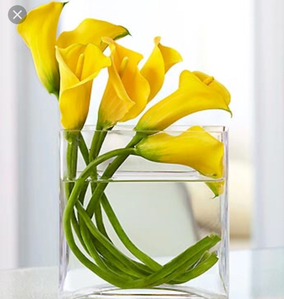 Букет желтых калл