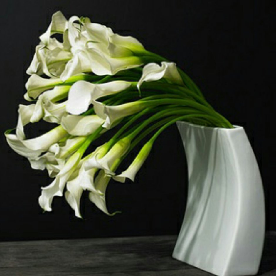 Изящные каллы в оригинальной вазе