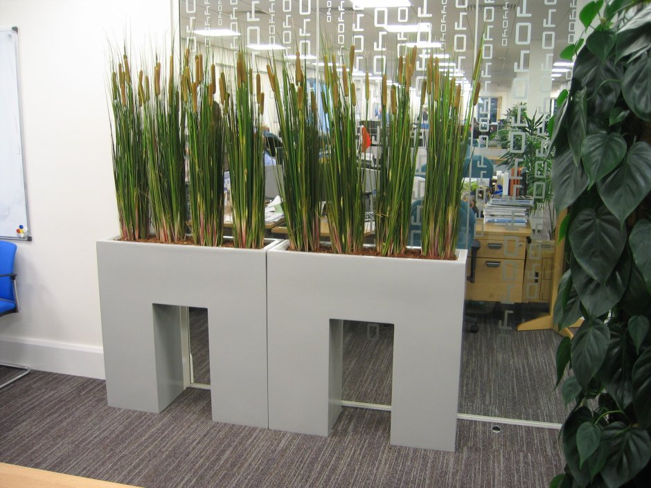 Декоративные перегородки с растениями