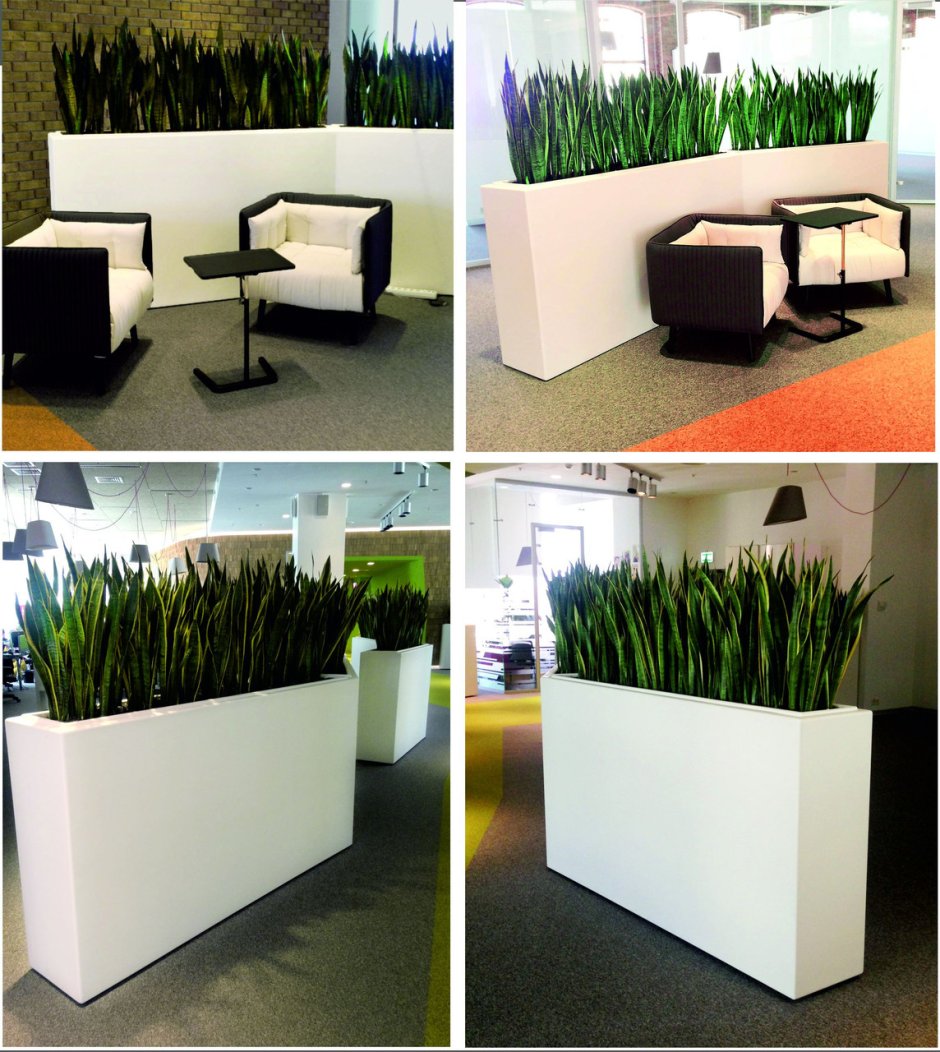 Трава в горшке в офис