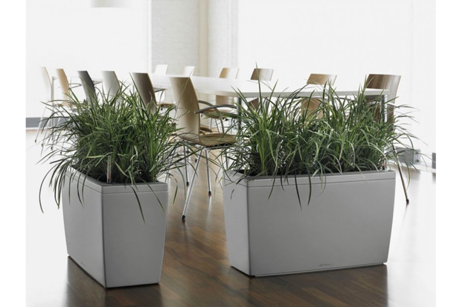 Кашпо для зонирования пространства