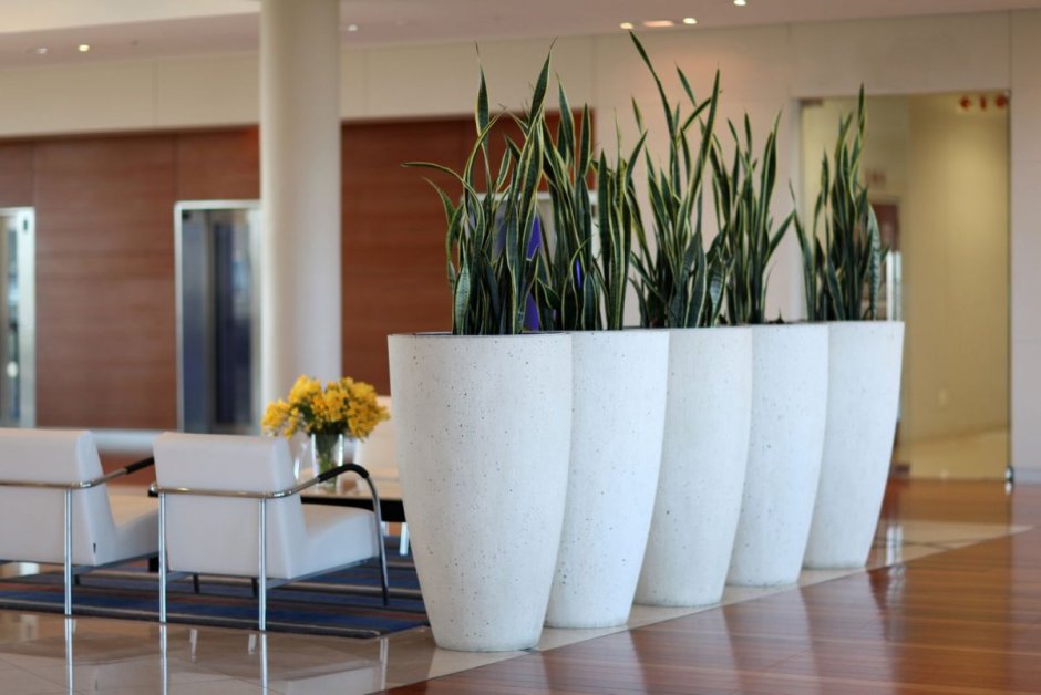 Экостиль в интерьере