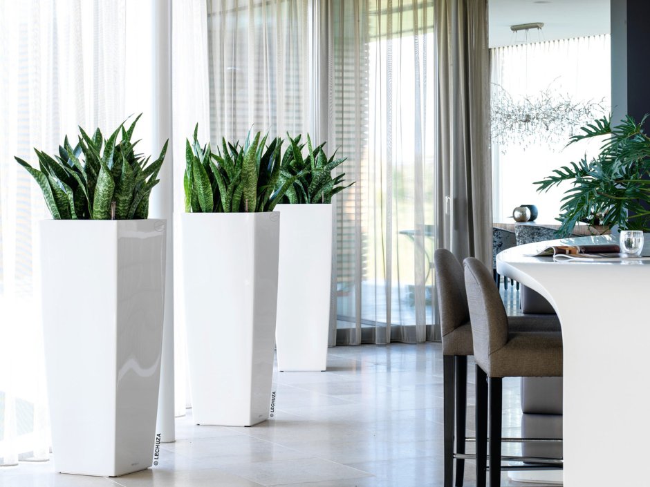 Кашпо Лечуза cubico Alto