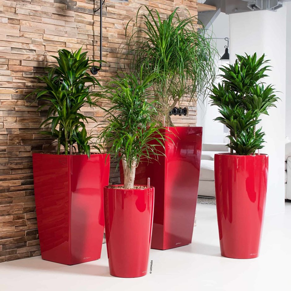 Декор для офиса