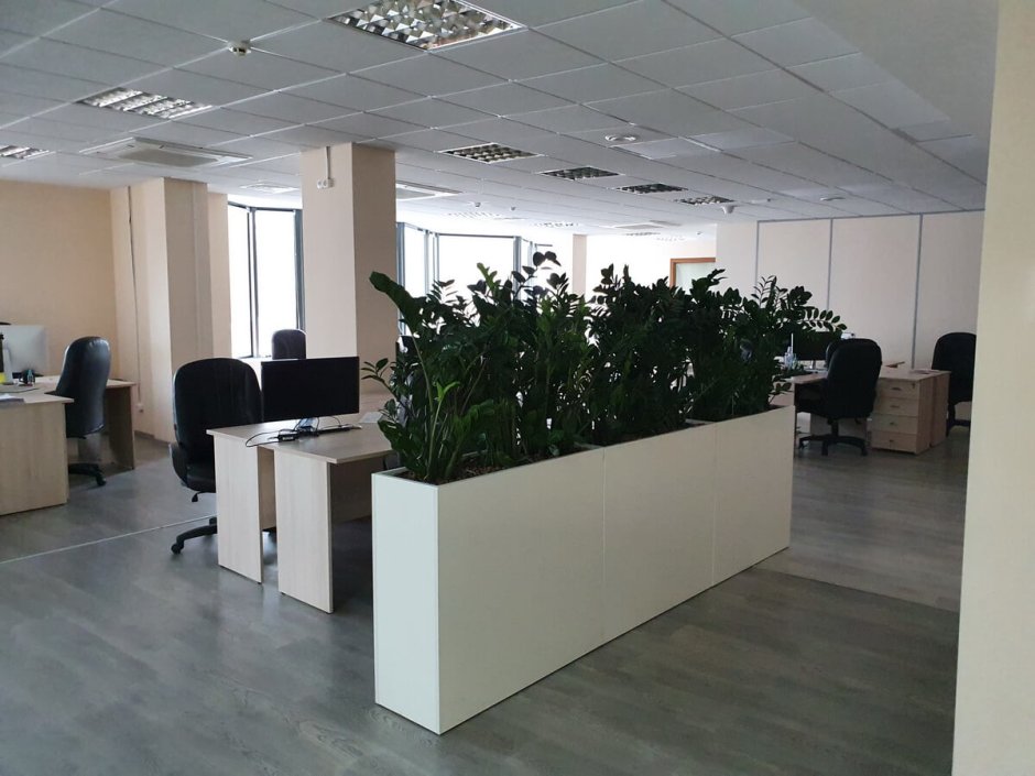 Офисная перегородка-кашпо