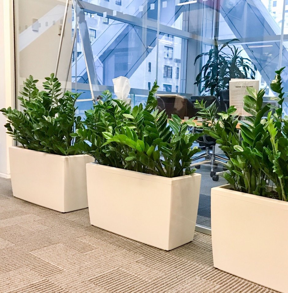 Перегородка с полками