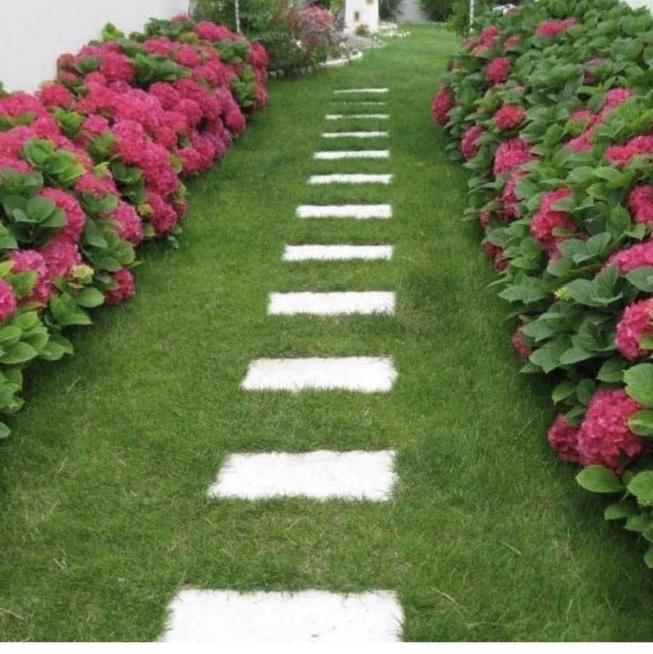 Ландшафтный 3и-Айн