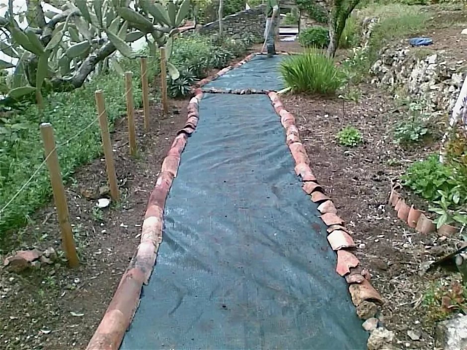 Деревянные дорожки