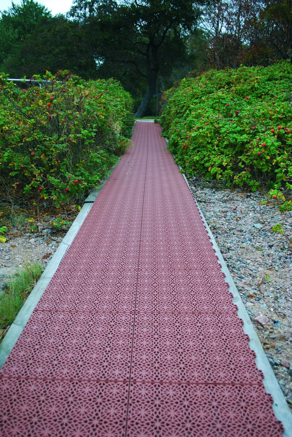 Садовые дорожки