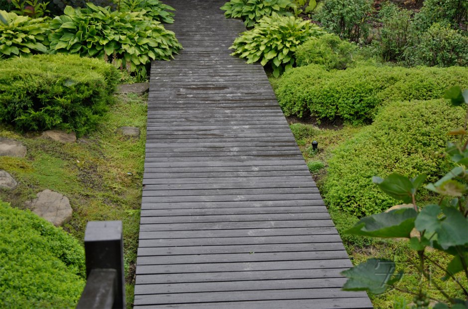 Елена Асташкина ландшафтный дизайнер