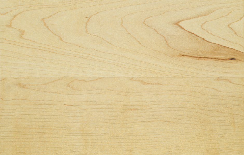 Клен текстура древесины массив