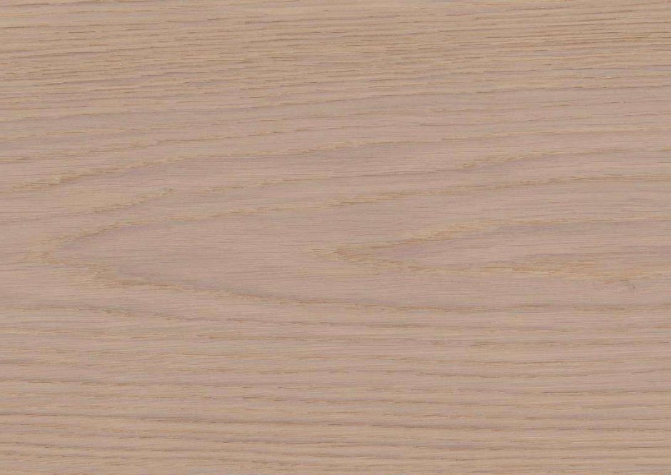 Вяз Тоссини белый h1701 st33