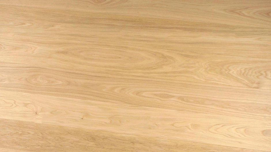 Roble Alba текстура