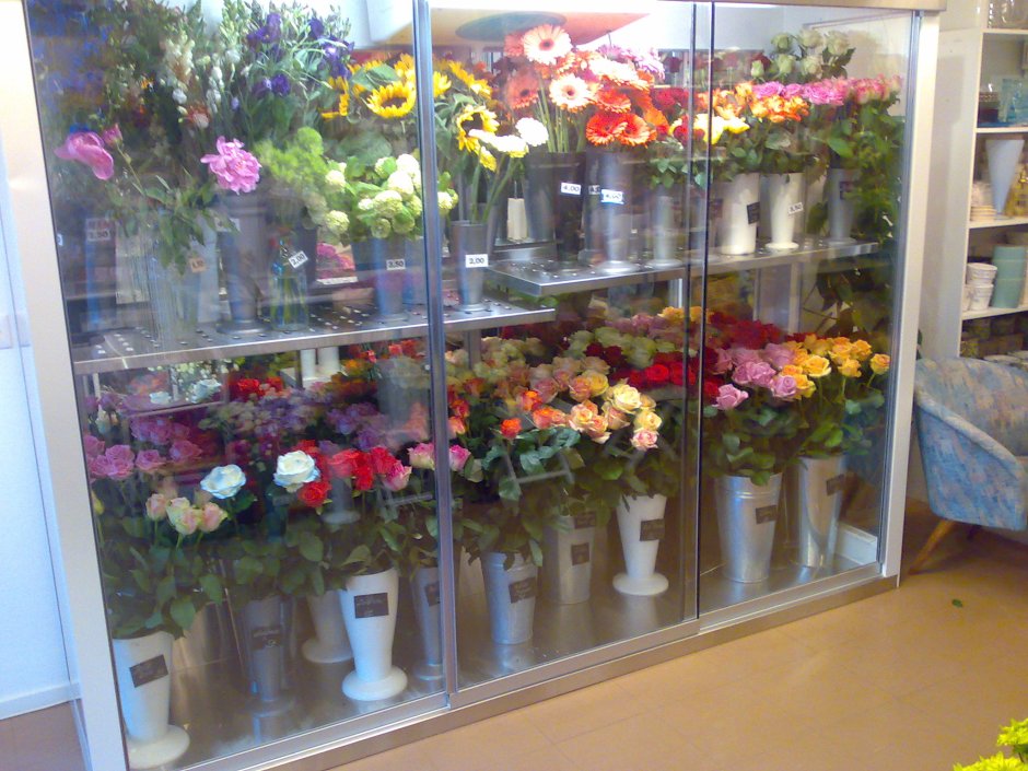 Стеллажи для цветочного холодильника