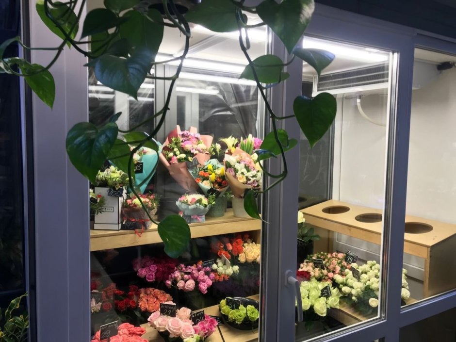 Полки в цветочный холодильник