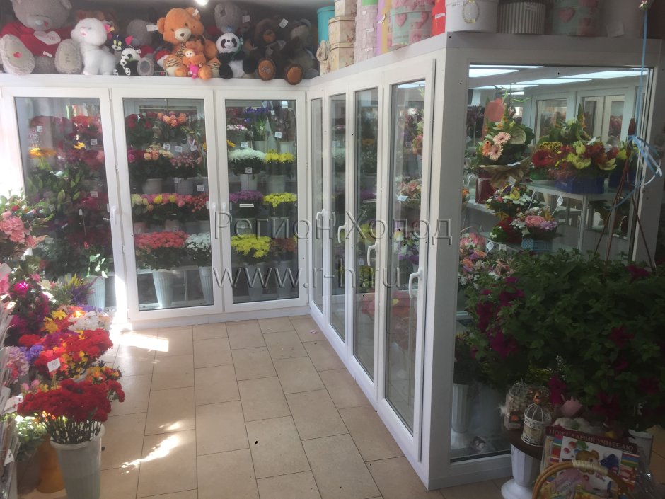 Холодильник для цветов