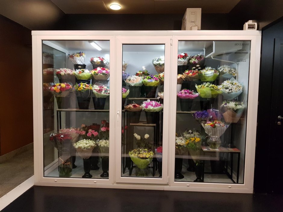 Холодильная камера для овощей и фруктов