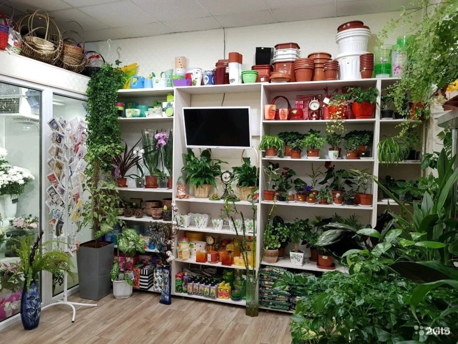 Полки в цветочном магазине лофт