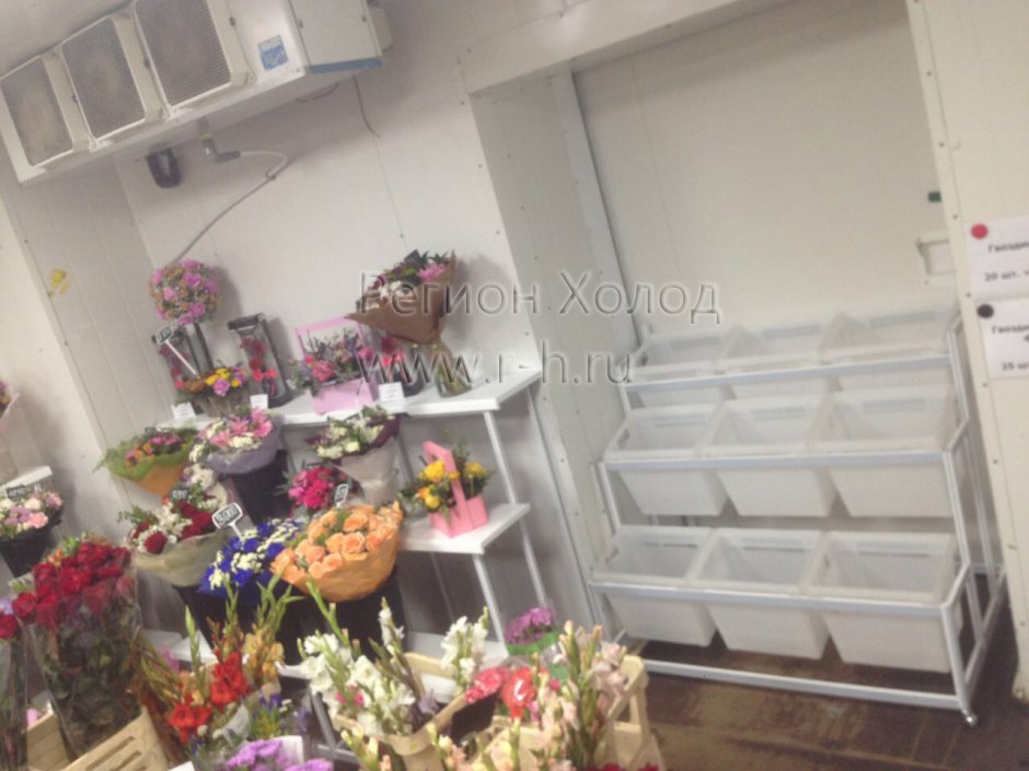 Холодильная комната для цветов