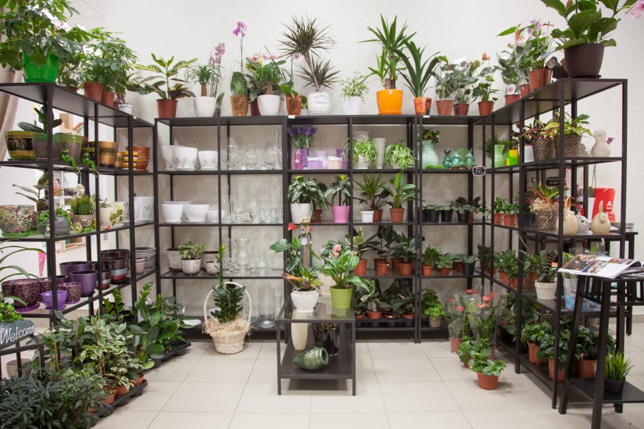 Витрина магазина цветов