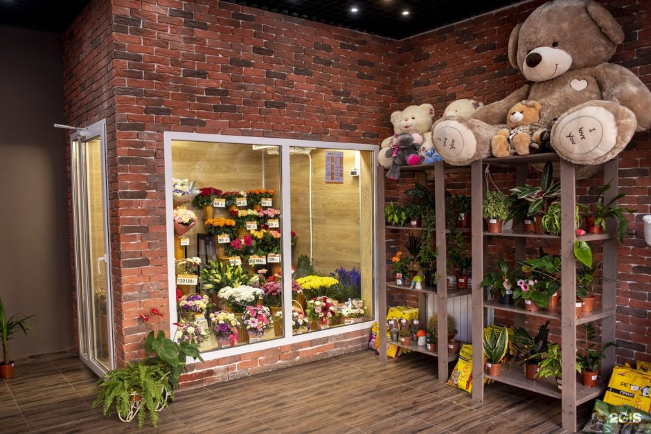 Магазин комнатных растений