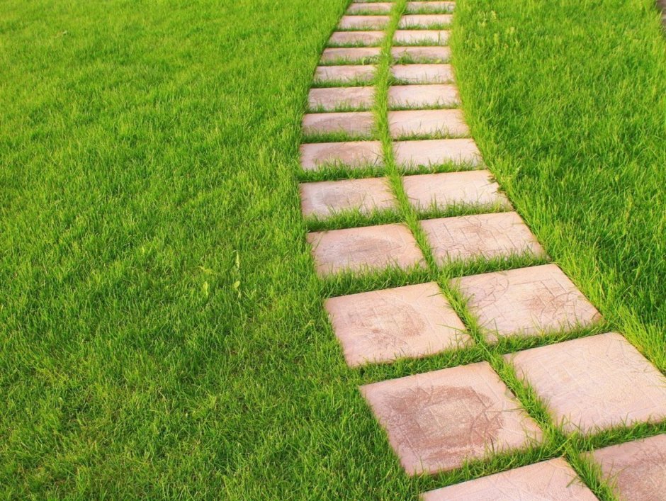 Укладка тротуарной плитки на даче