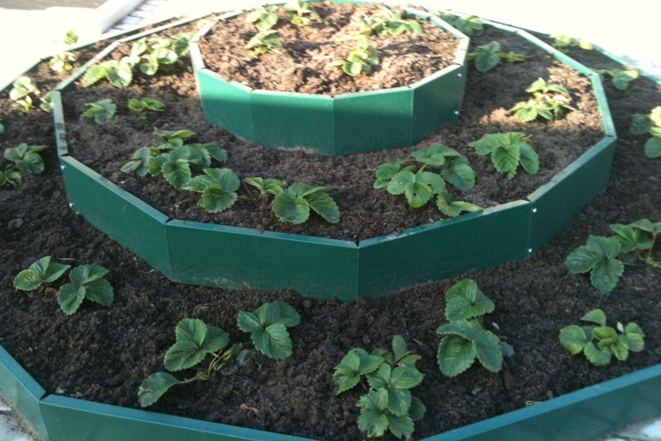 Грядки и клумбы