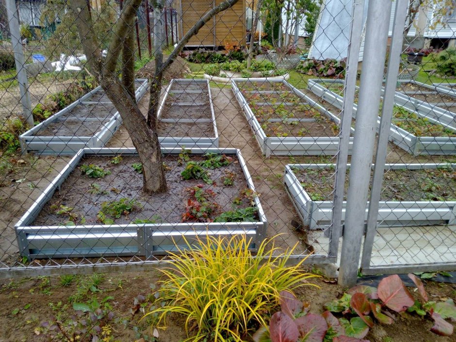 Кованная клумба для цветов