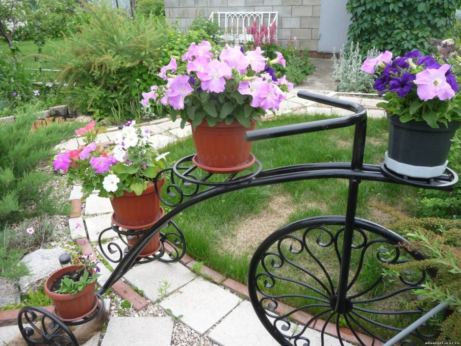 Кованый стеллаж для цветов