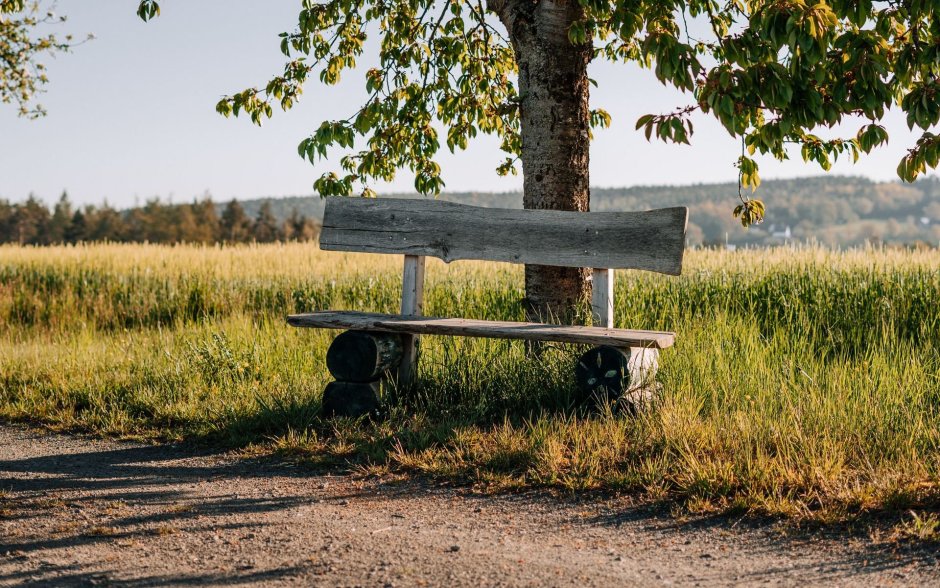 Скамейка у ворот
