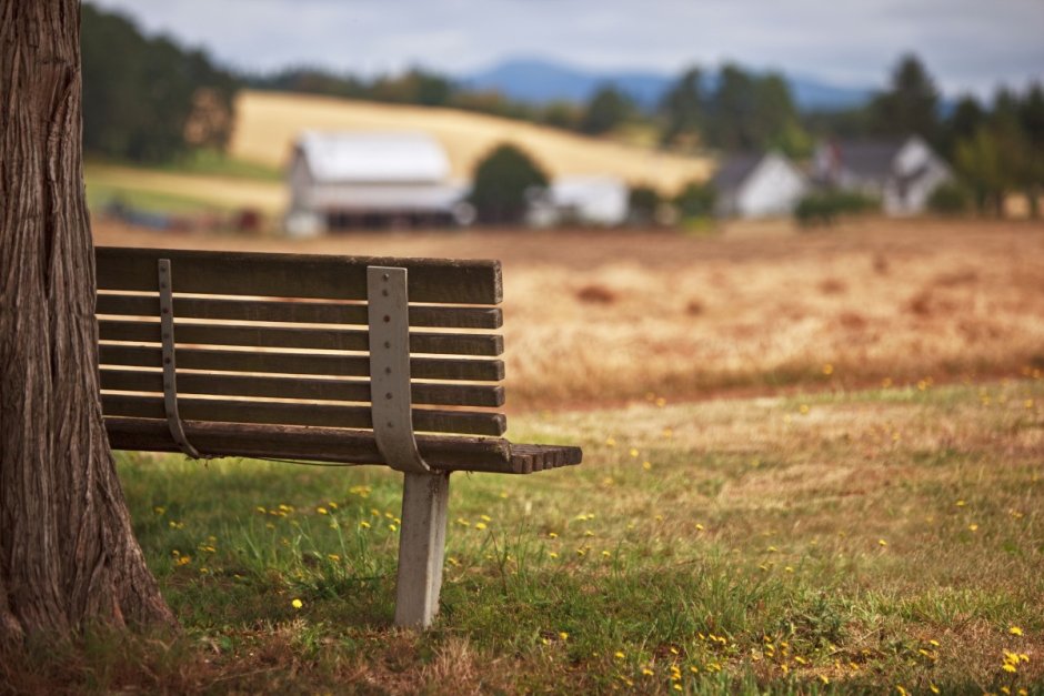 Деревенская лавочка
