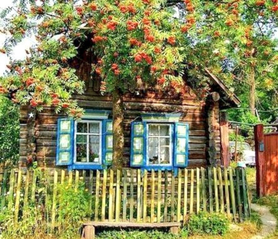 Летнее утро на озере