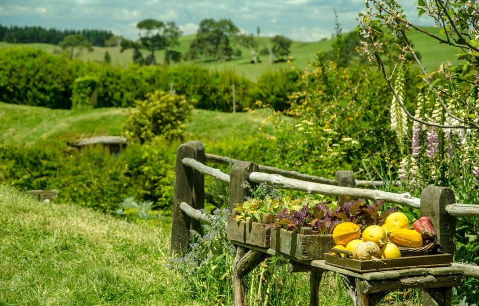 Девушка сидит на скамейке