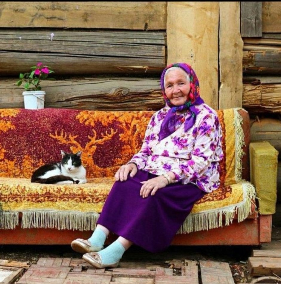 Что такое прясло в изгороди