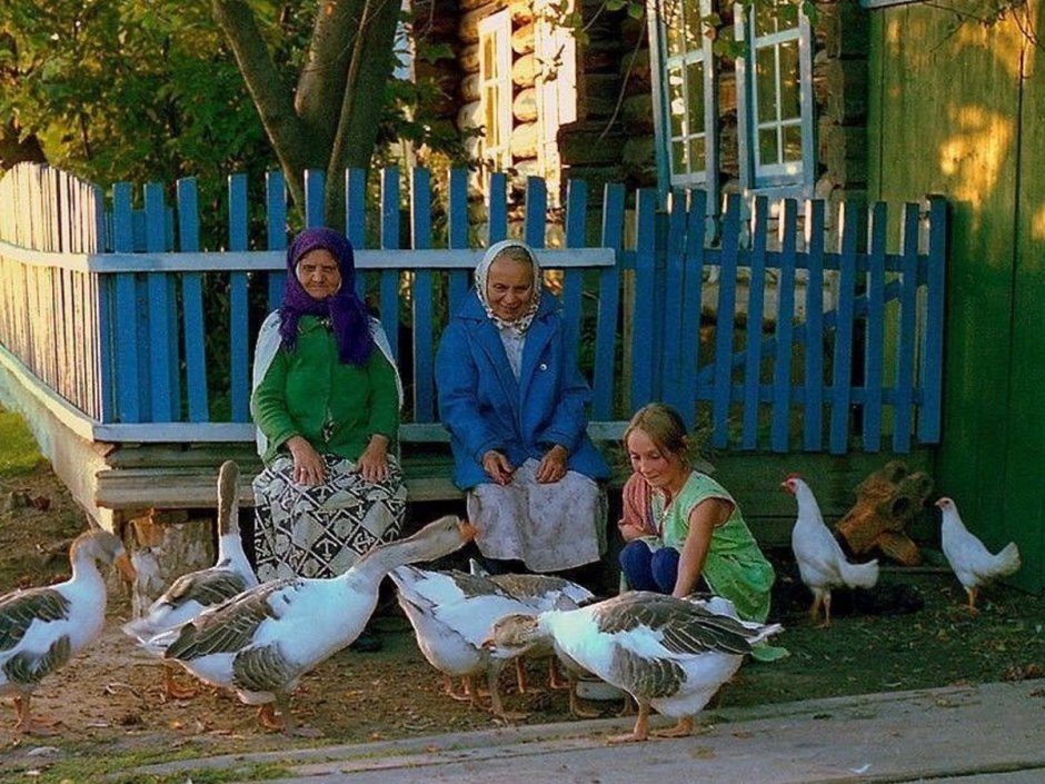 Старый забор