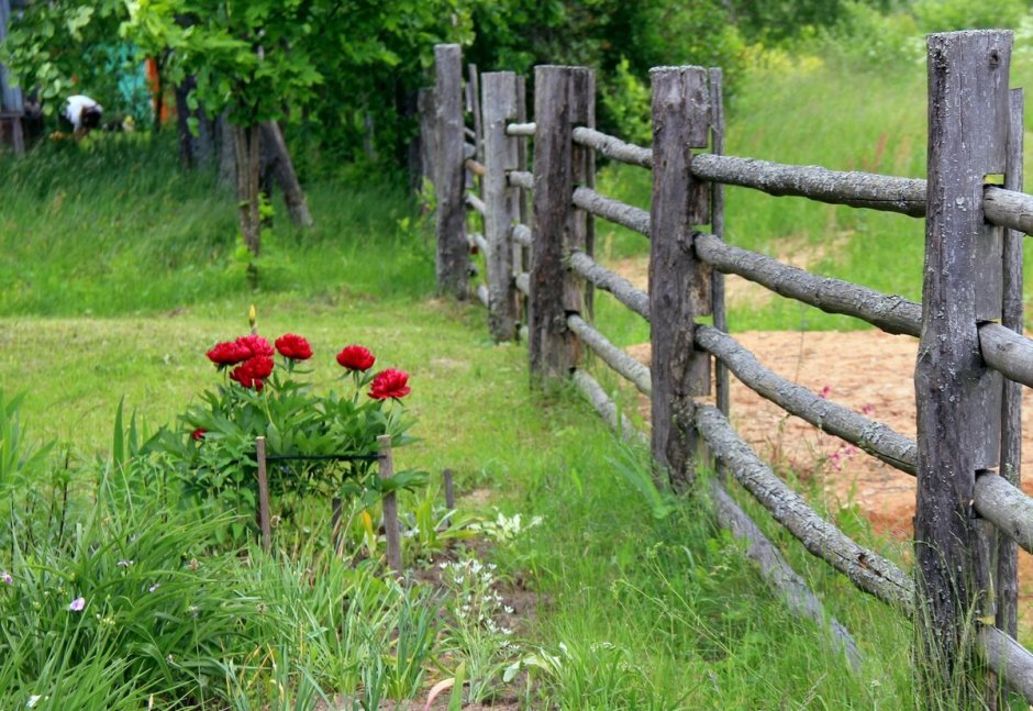 Девушка на скамейке