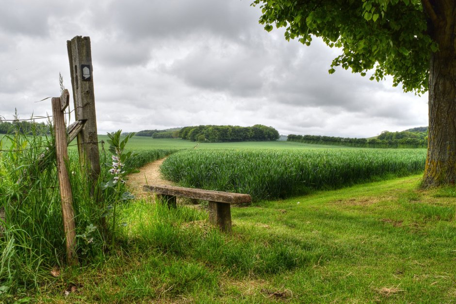 Хрусталева Наталья живопись сирень