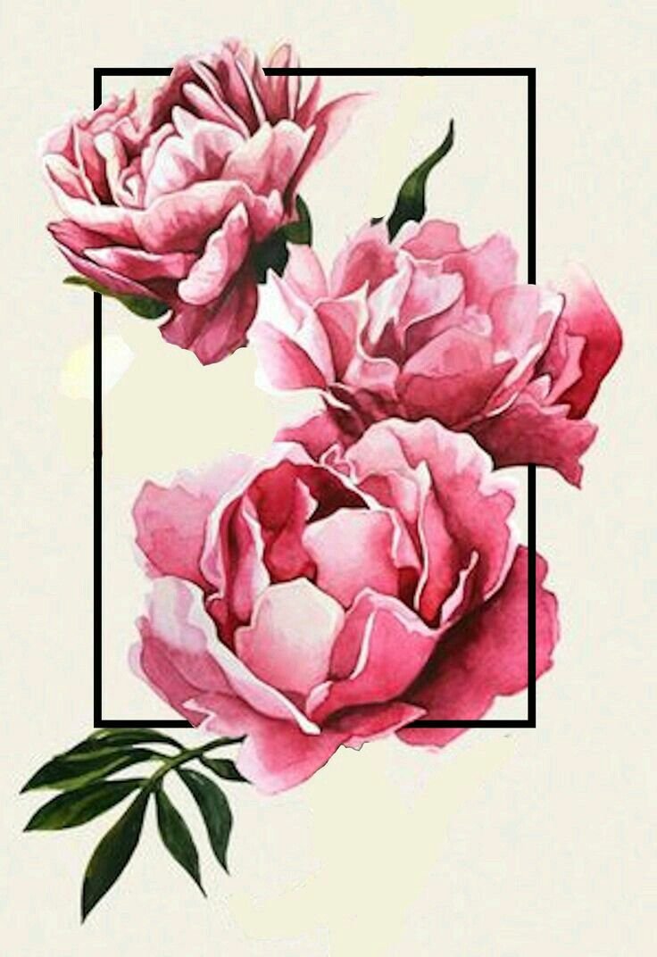 Стилизация пионов