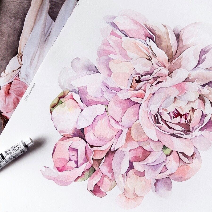 Таня Боня пионы