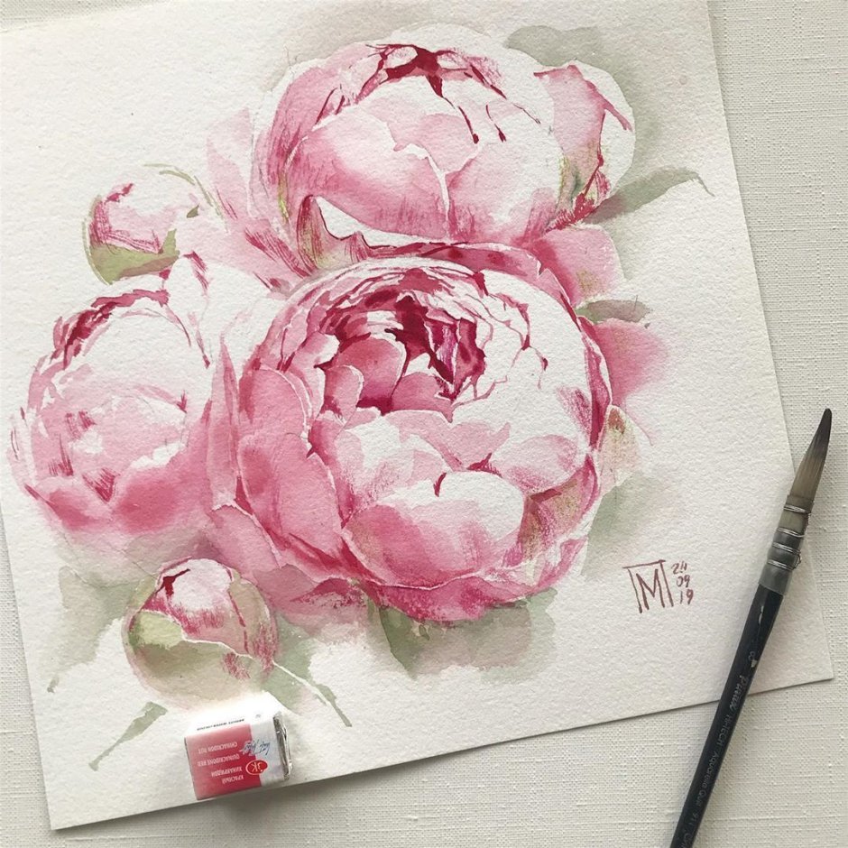 Мария Павлова пионы акварель
