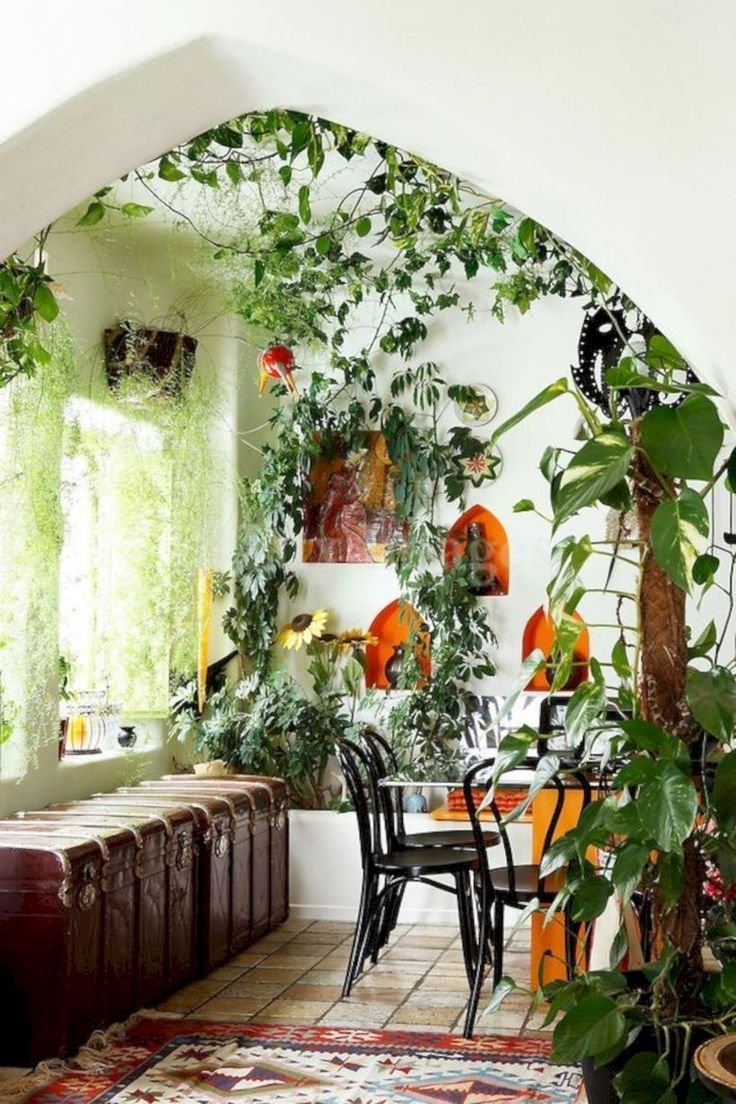 Вьющиеся растения в интерьере