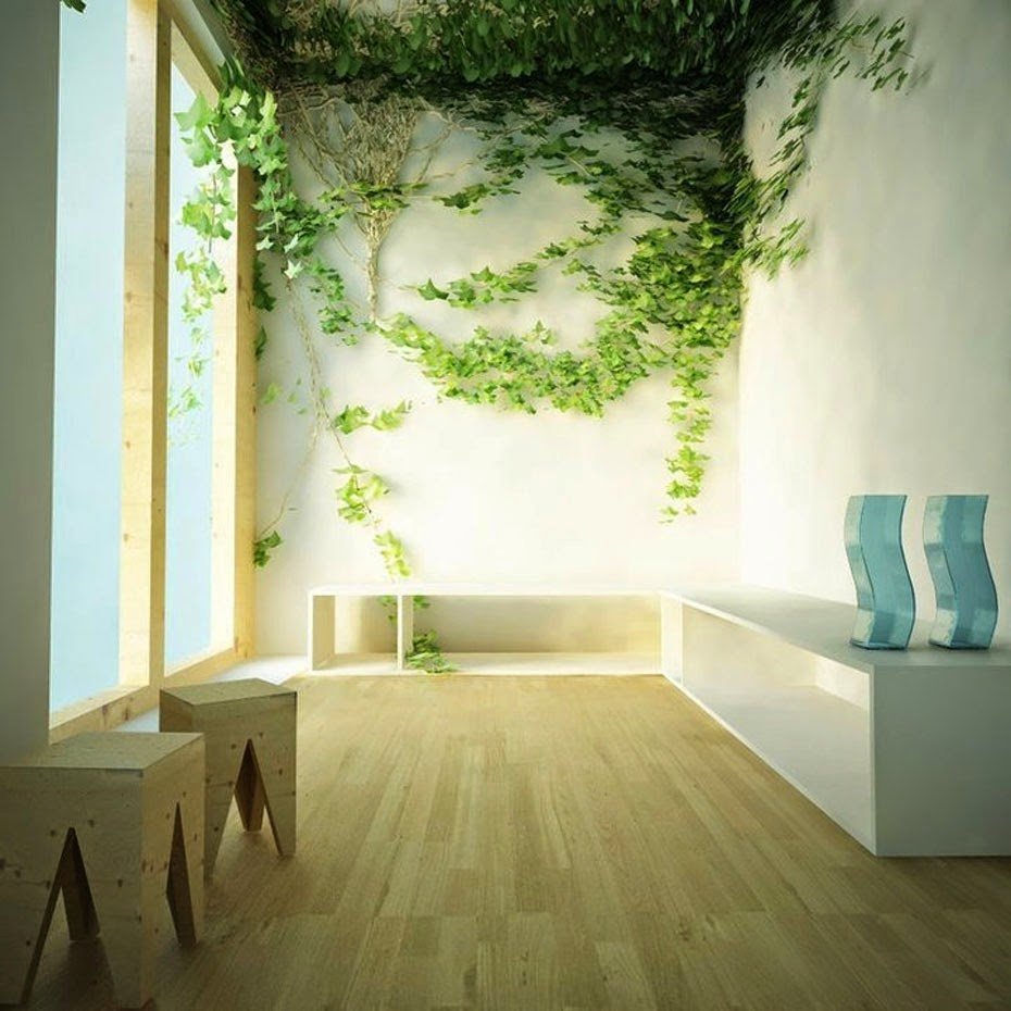 Вьющиеся растения в интерьере квартиры