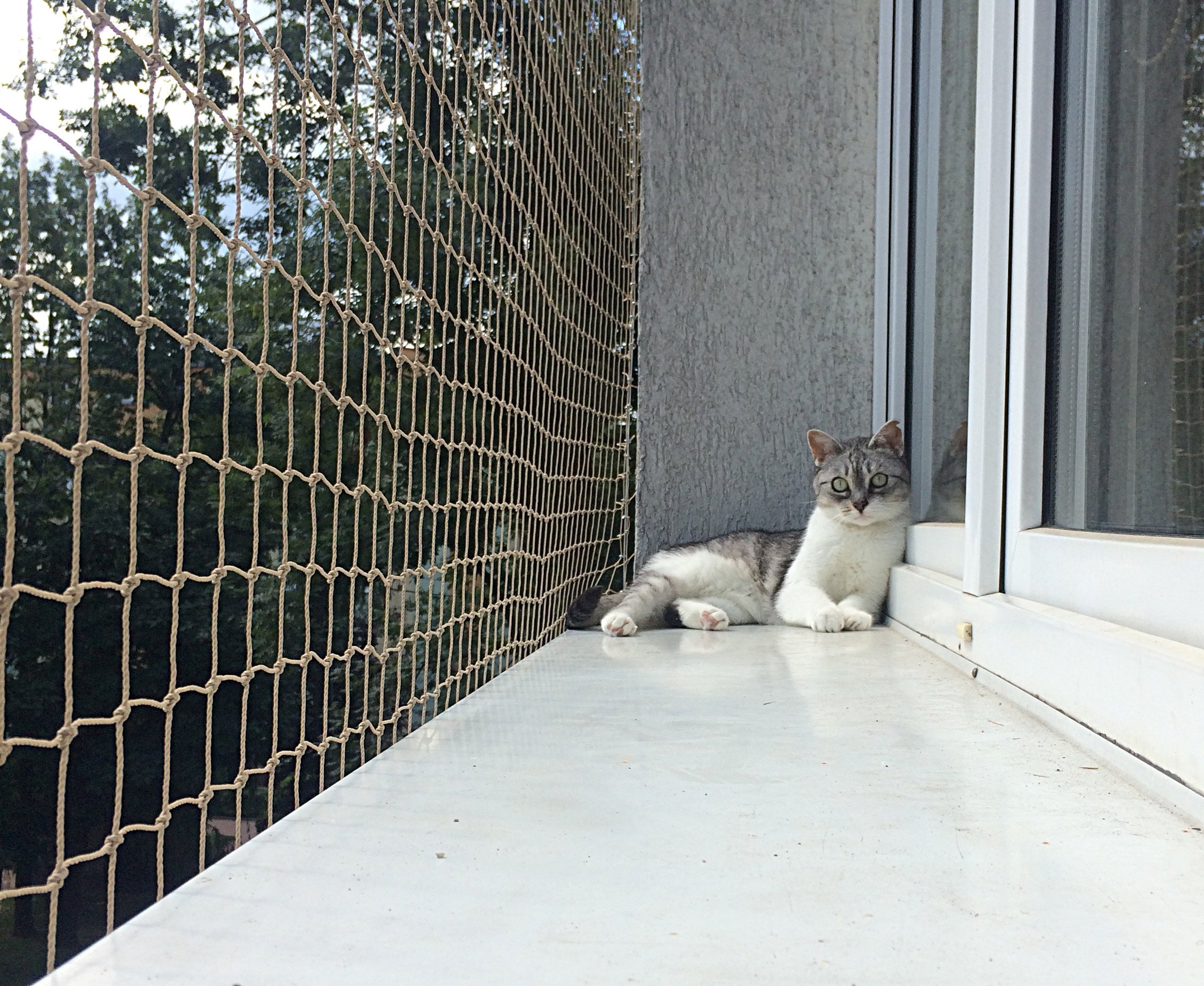 Кошачий балкон. Клетка антикошка. Балкончик антикошка. Вольер антикошка. Клетка антикошка для кошек.