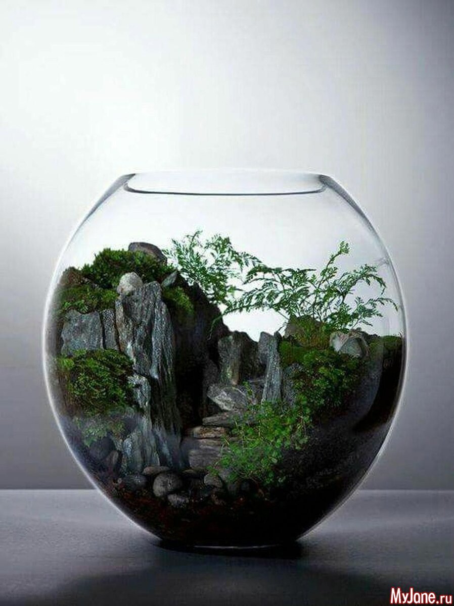 Флорариум мини сад