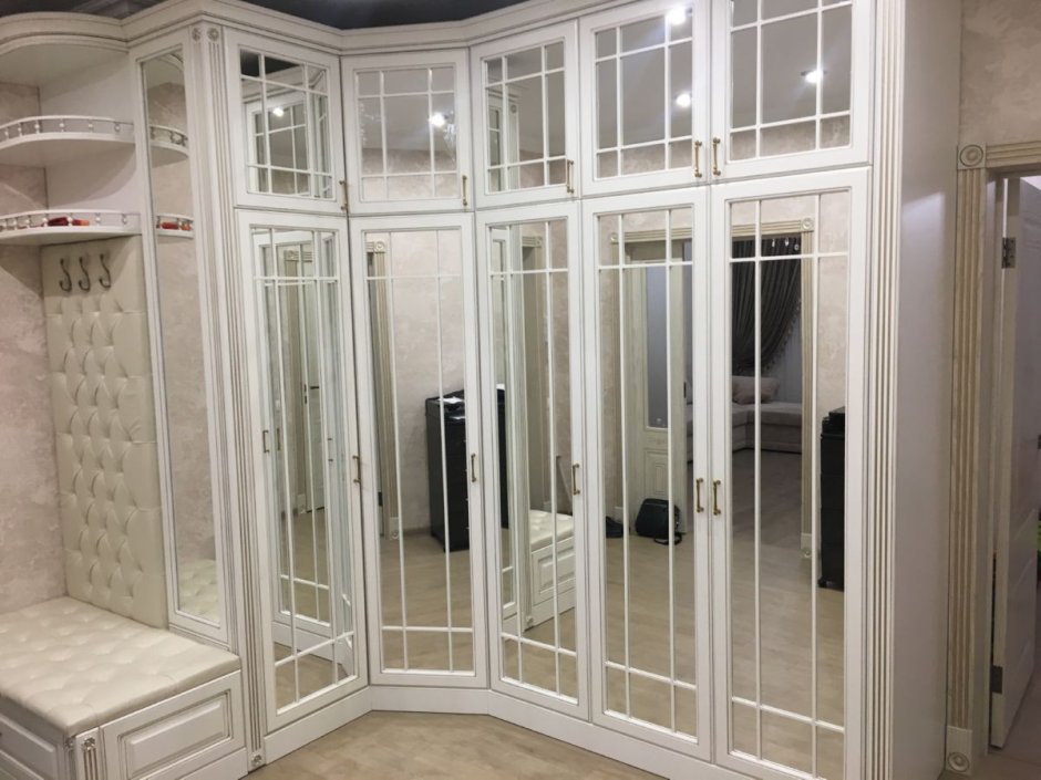 Шкаф-купе аристо с фацетом