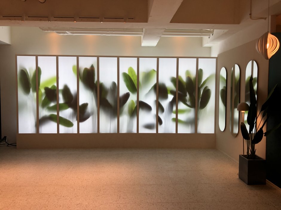 Plants behind Glass Bathroom