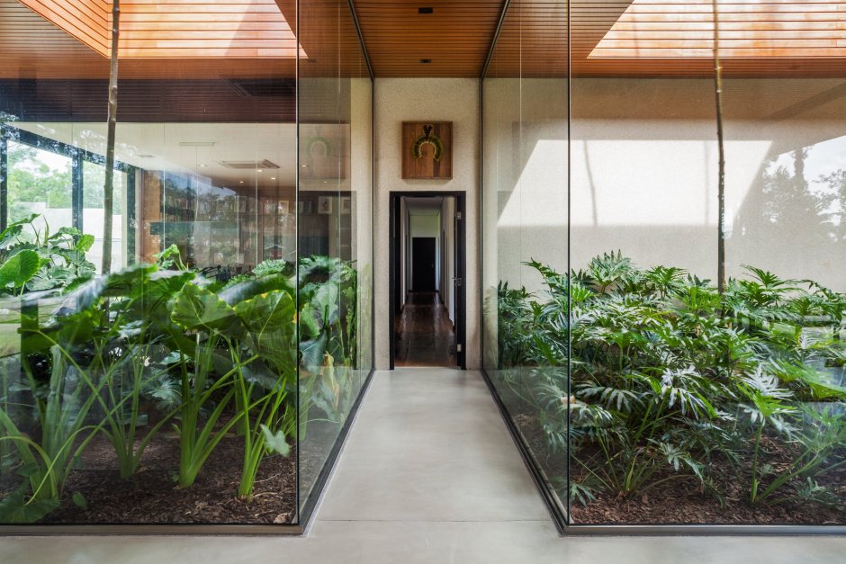 Стеклянная стена с растениями