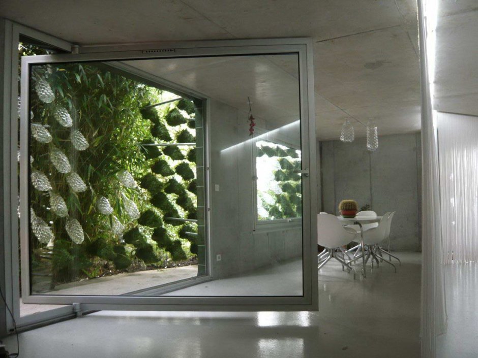 Стеклянная стена с растениями